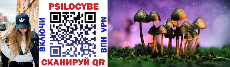 Псилоцибиновые грибы Magic Shrooms Заозёрный