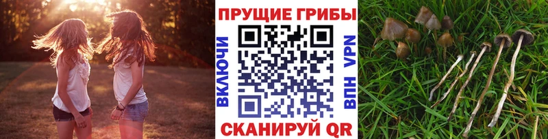 ОМГ ОМГ вход  Заозёрный  Псилоцибиновые грибы мухоморы 
